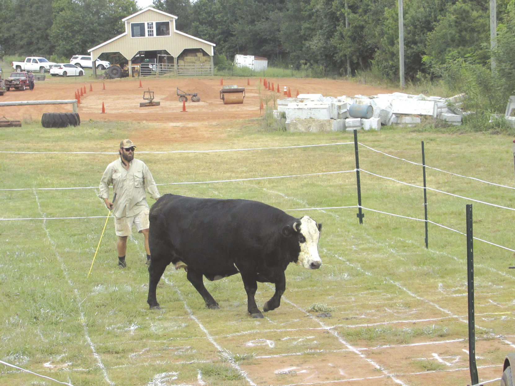 Cow Chip Bingo
